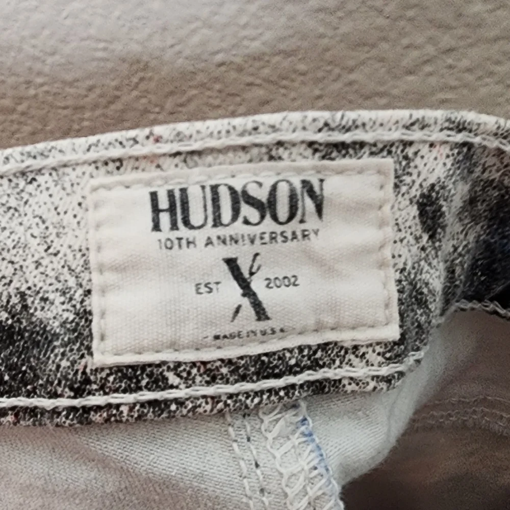 Hudson Abstract Flag Nico 10th Anniversary Print Skinny Jean 25